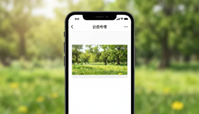 微信公众号开发性能优化及适用条件分析