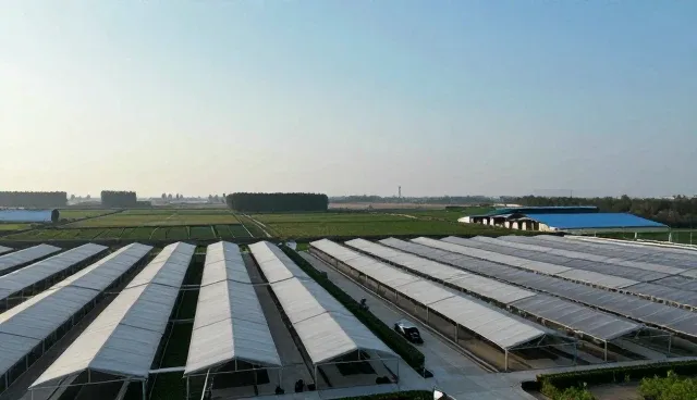 信息化方案实施中的常见误区与理解偏差